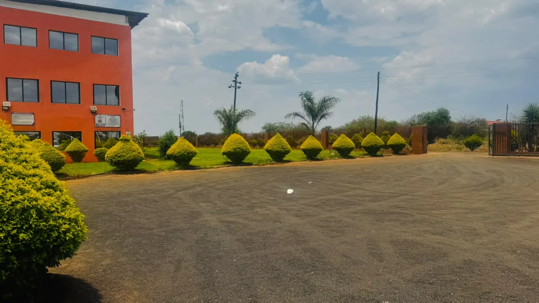 The front courtyard and gate